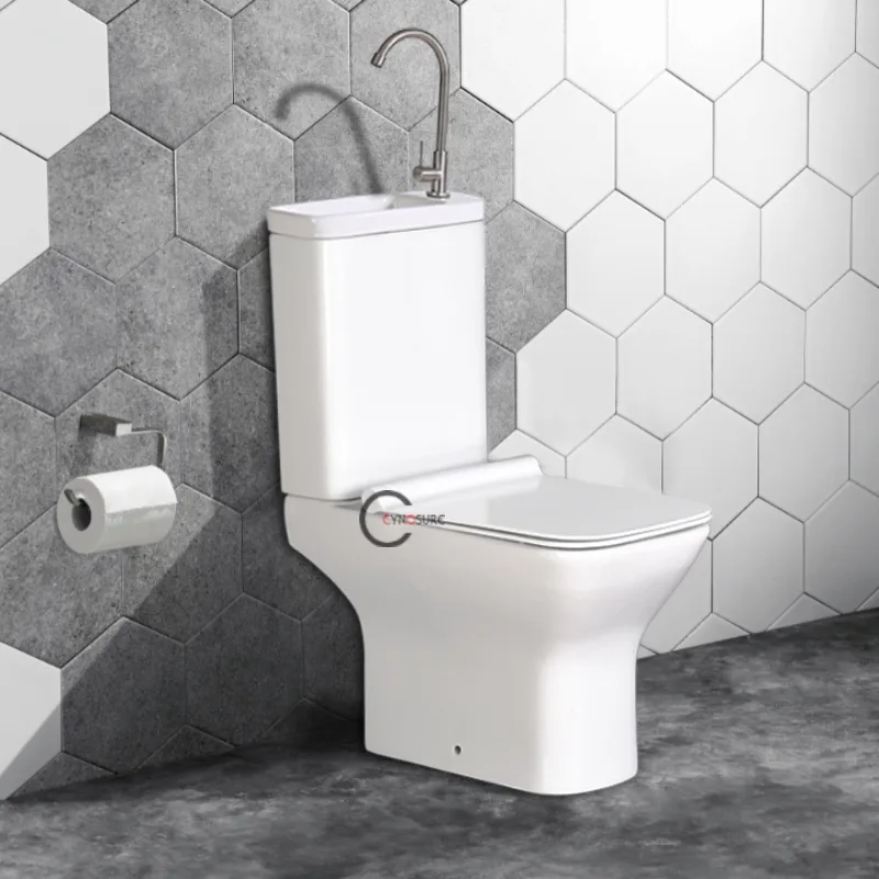 Vaskom The core advantages of the toilet wash basin combination - CYNOSURE ...