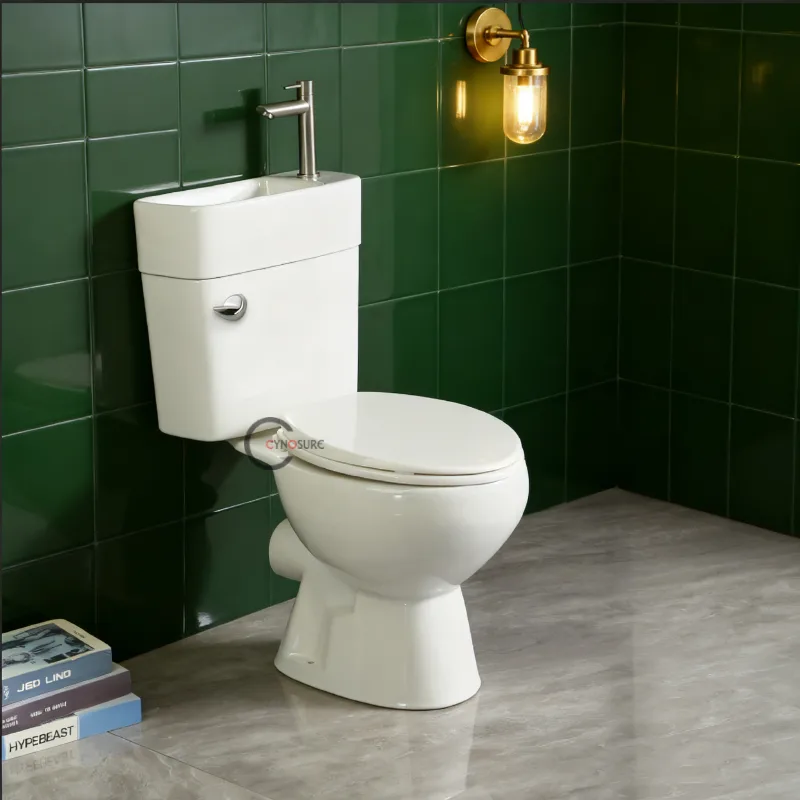 Vaskom How to choose a toilet wash basin combination device that is suitable ...